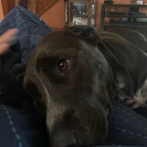 Meet your Posher, Philip